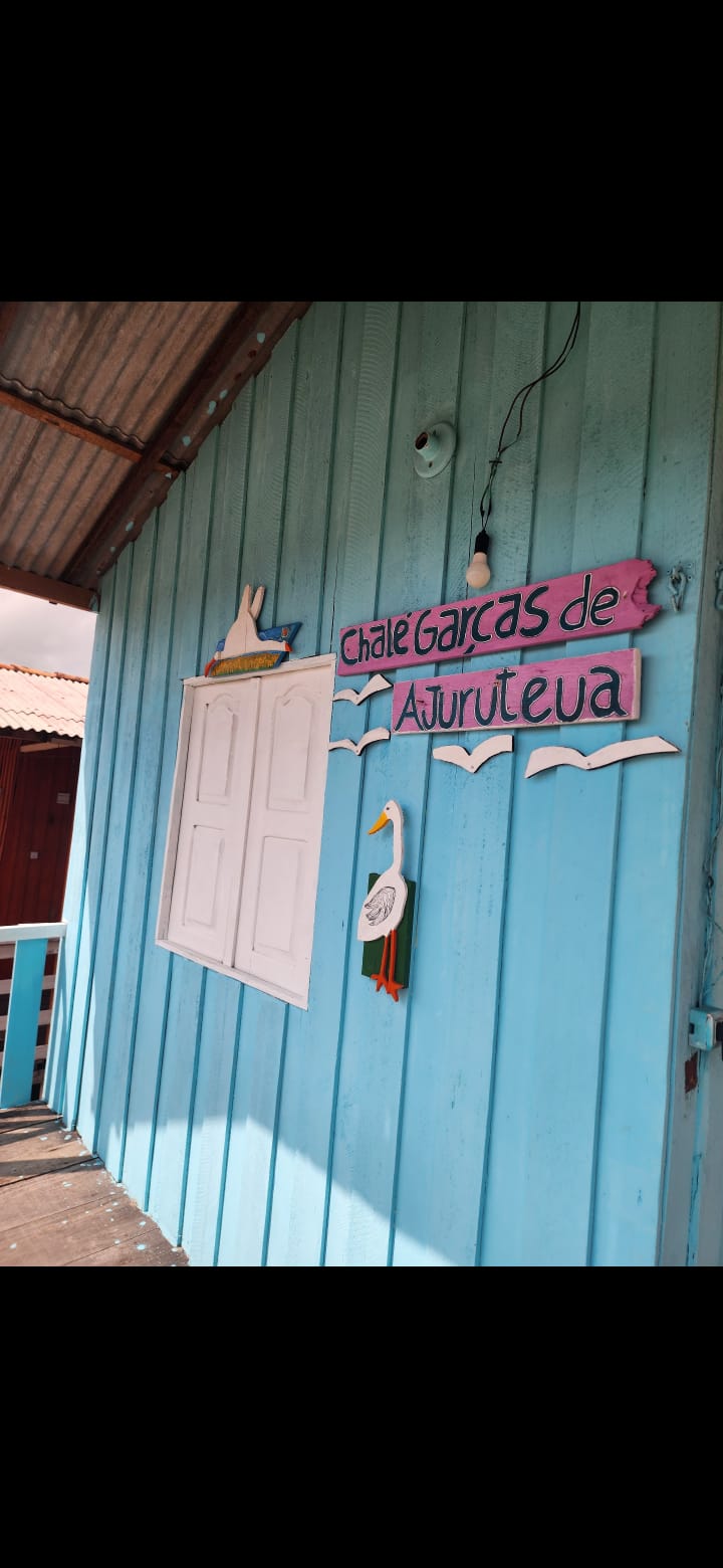 Foto do garças de ajuruteua